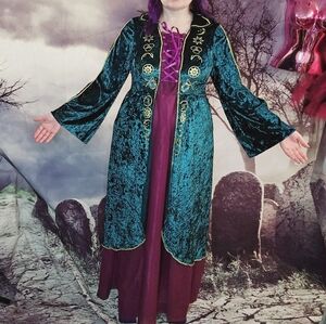Velvet Green and Purple Hocus Pocus Witch Costume Dress XL